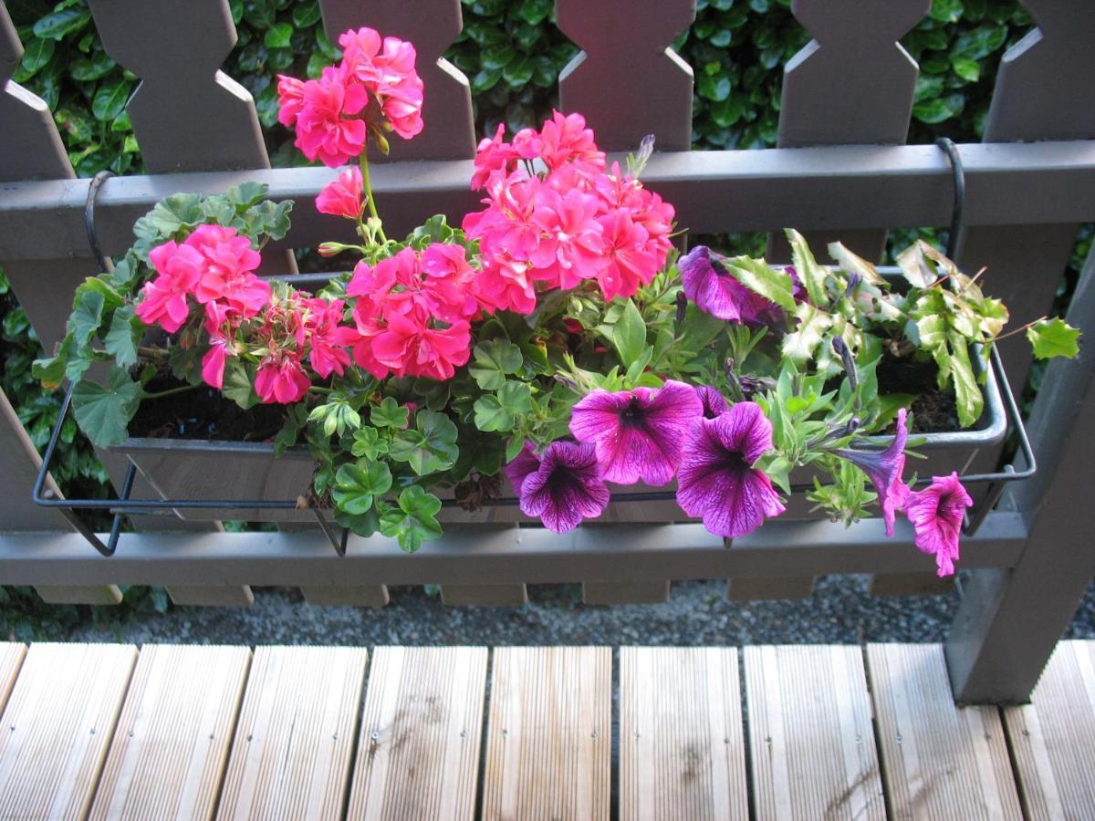 Durbuy Kleine Familiechalet Edelweiss 4 A 5 Pers エクステリア 写真